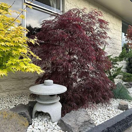 The Airport Homestay House 基督城 外观 照片