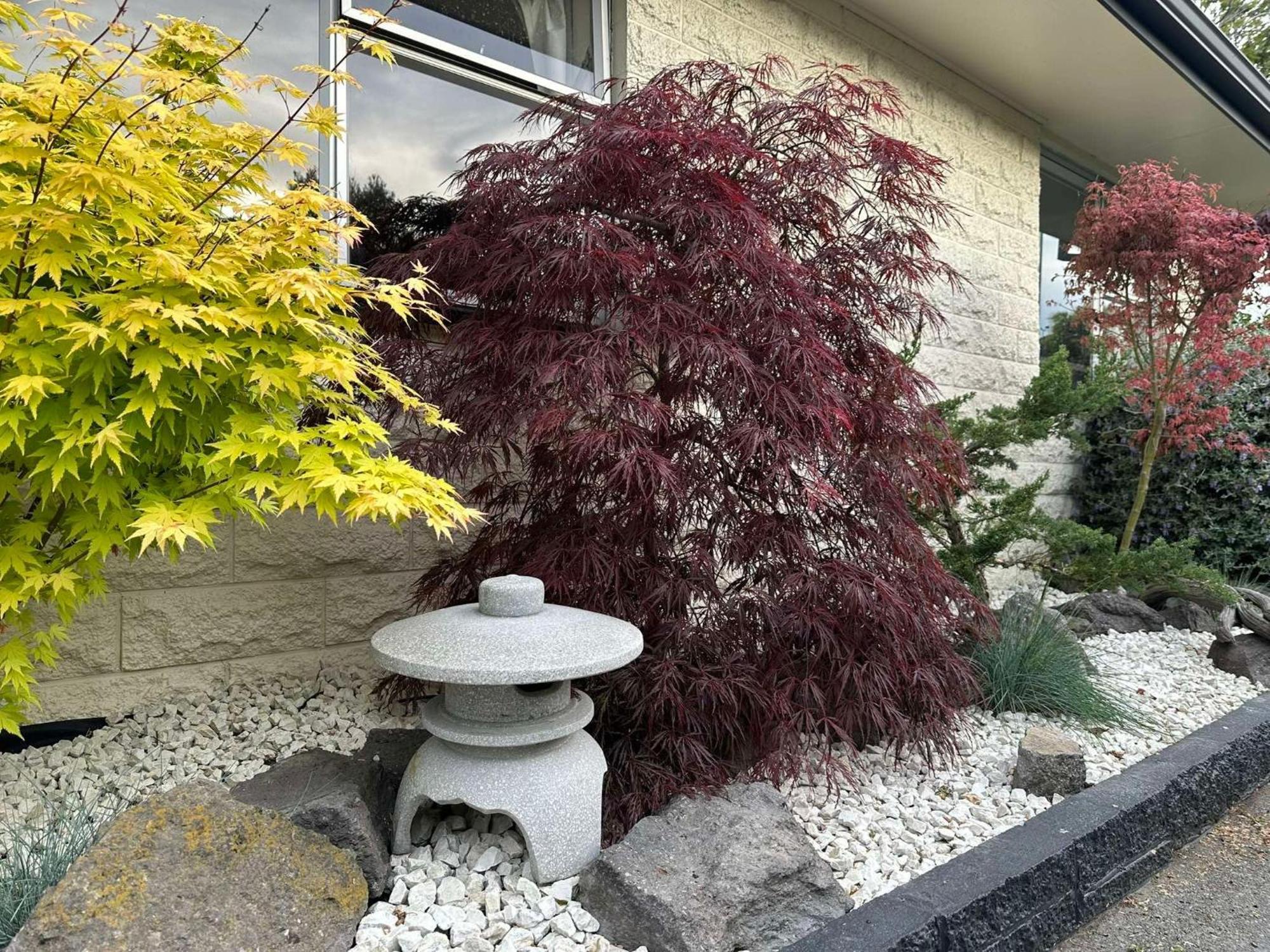 The Airport Homestay House 基督城 外观 照片